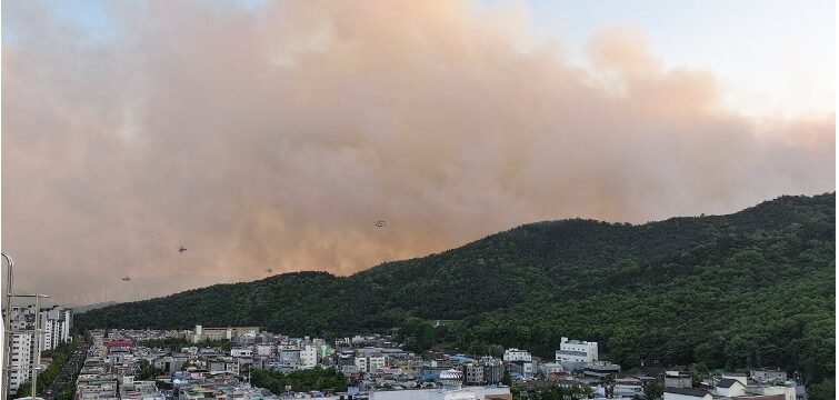 Evacuation Alert as South Korea Wildfires Reignite in Daegu - The State Signal
