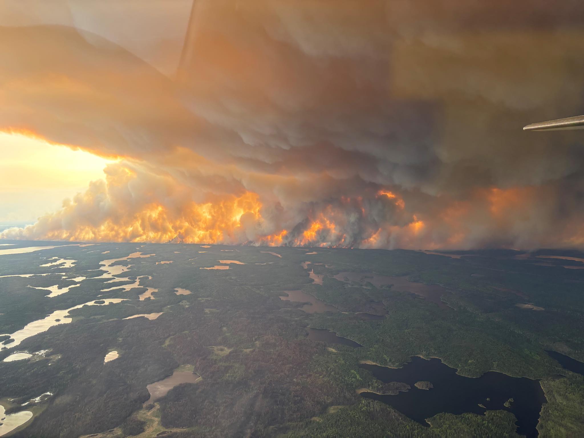 Houara Forest Fires in Morocco Continues to Burn for 5th Day - The State Signal