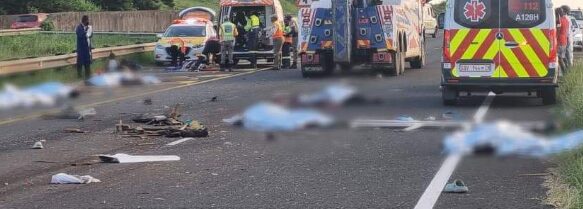 South Africa Road Crash Claims 8 Lives - The State Signal