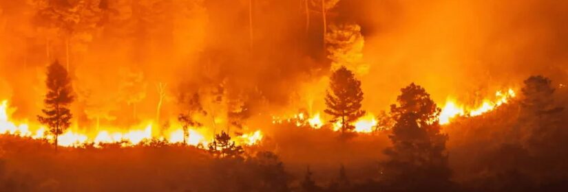 97 of the 187 Active Wildfires in Canada Today are Burning Out of Control - The State Signal