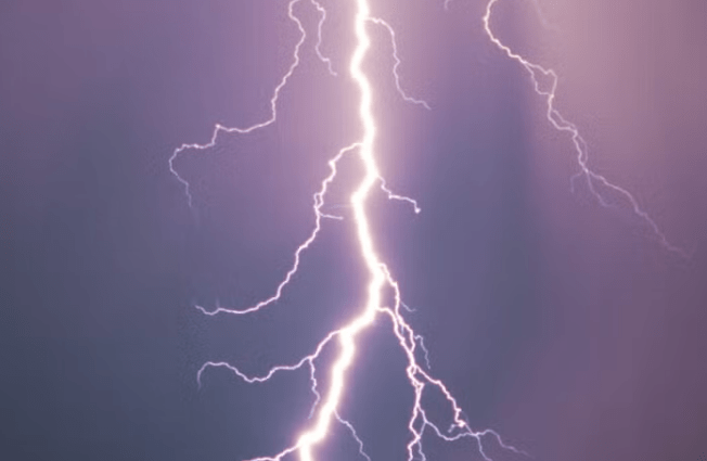 Lightning Strikes in South Carolina Leaves 20 Injured - The State Signal