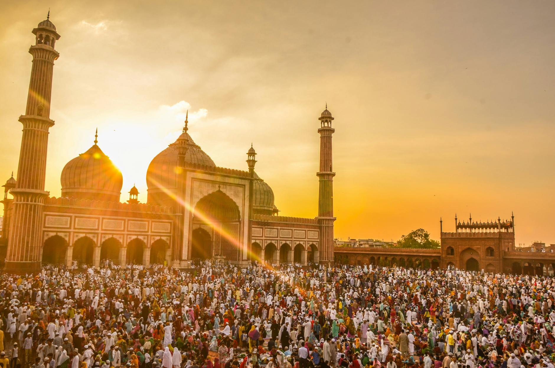 An Open Letter to the Islamic World - The State Signal