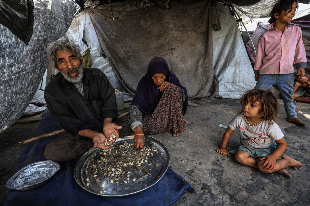 7 More Die from the Starvation in Gaza - The State Signal