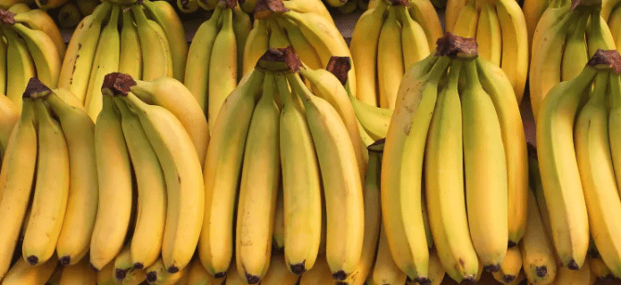 Cocaine Found Hidden in Bananas at Coop Supermarkets, Denmark - The State Signal