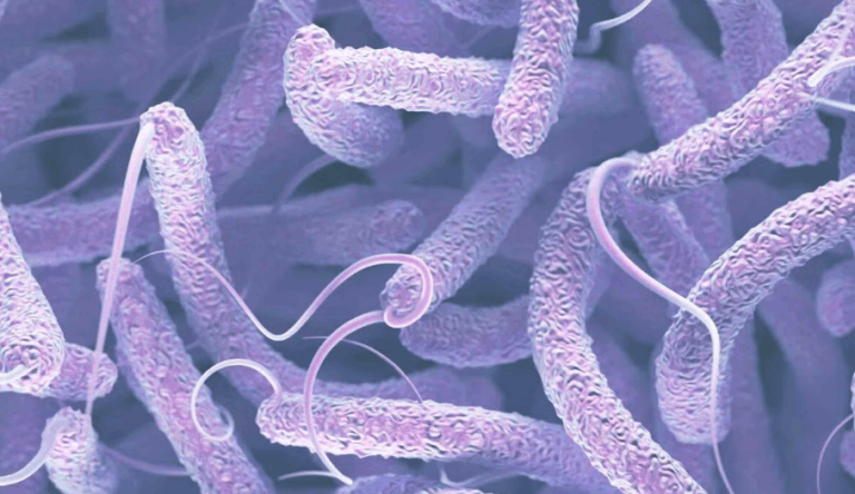 Outbreak of Cholera in Africa's West and Central Regions a Growing Risk; UNICEF - The State Signal