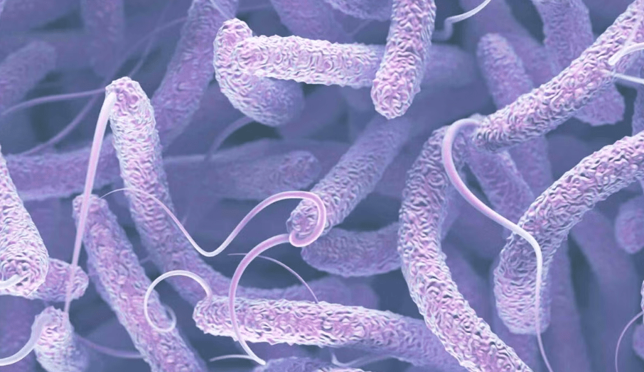 Outbreak of Cholera in Africa's West and Central Regions a Growing Risk; UNICEF - The State Signal