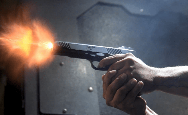 3 Killed in Shootout at Giza, Egypt - The State Signal