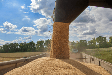 EU States Oppose Trade Agreement Between Ukraine and EU - The State Signal