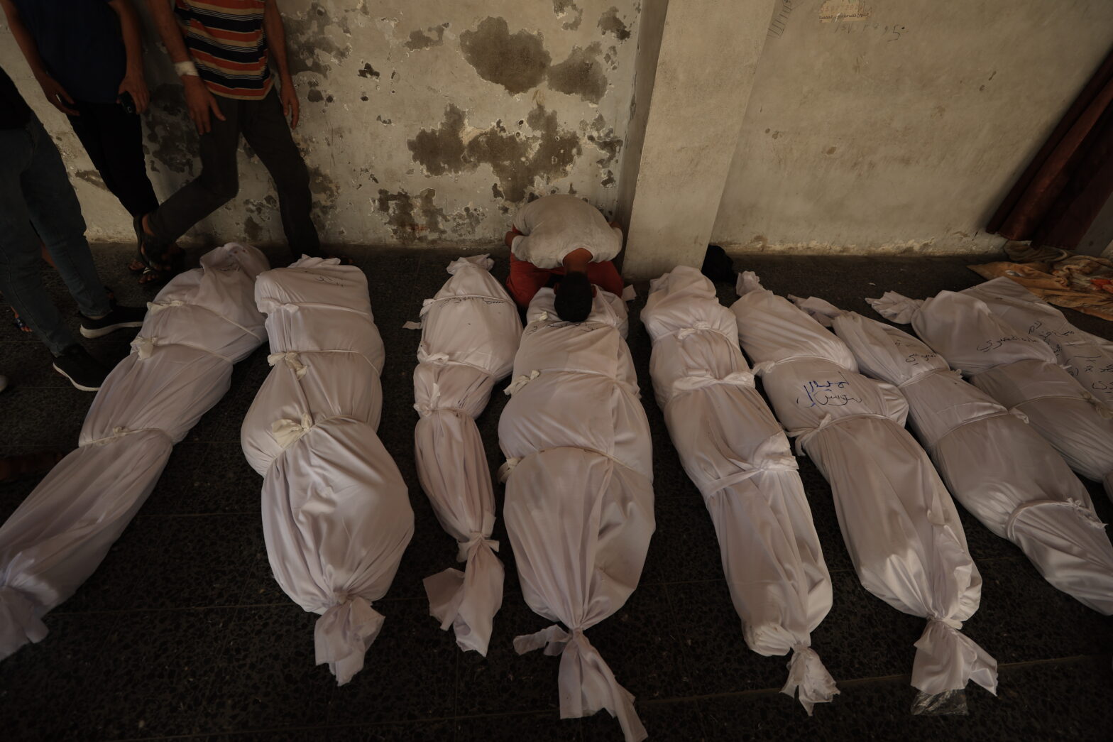 Total Palestinian Deaths in Gaza War Now at 61,599 - The State Signal Total Palestinian deaths in Gaza now at 61,599