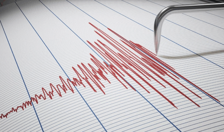 5.6 Magnitude Earthquake Hit Tonga Island - The State Signal