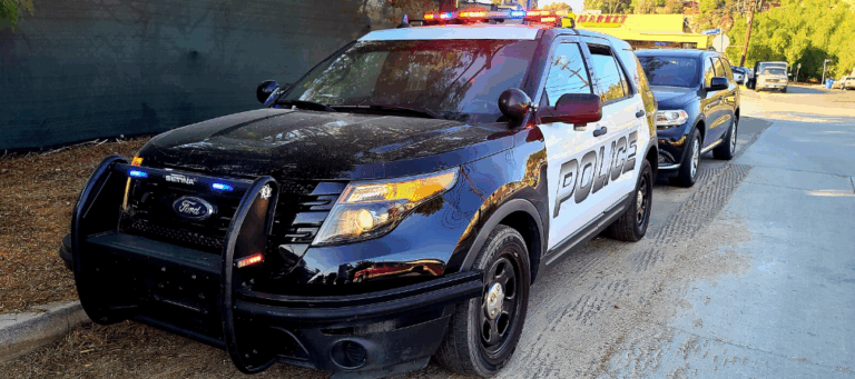 Los Angeles Gun Attack Kills 2 - The State Signal