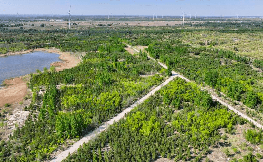 Flash Floods in Northern China Kill 8 - The State Signal