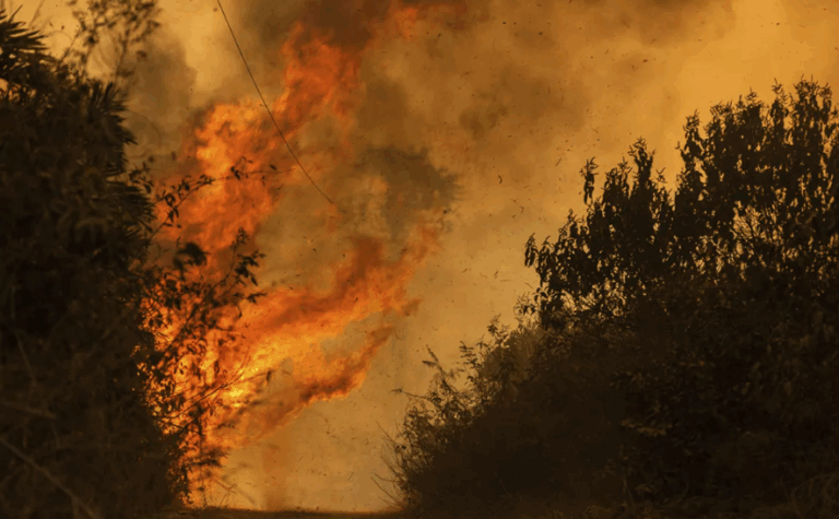 Spain and Portugal Continue to Battle Wildfires - The State Signal
