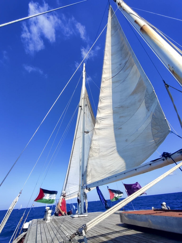 Gaza Bound Aid Flotilla Attacked by Israeli Navy - The State Signal