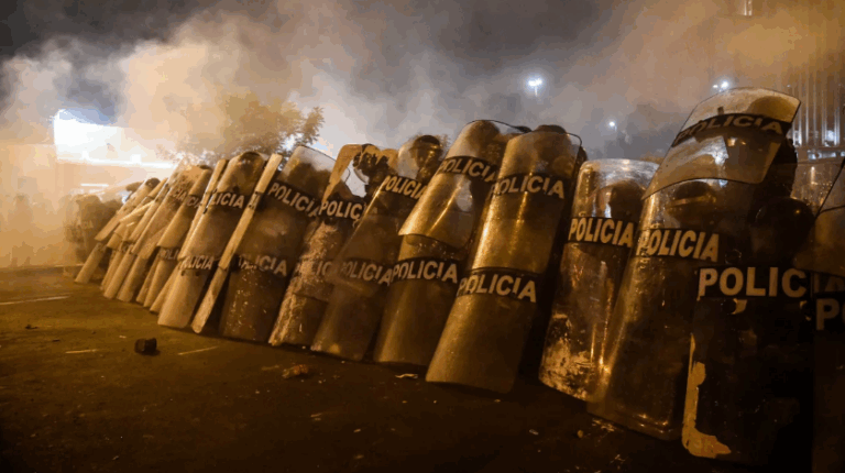 1 Shot Dead During Anti-Government Protests in Peru - The State Signal