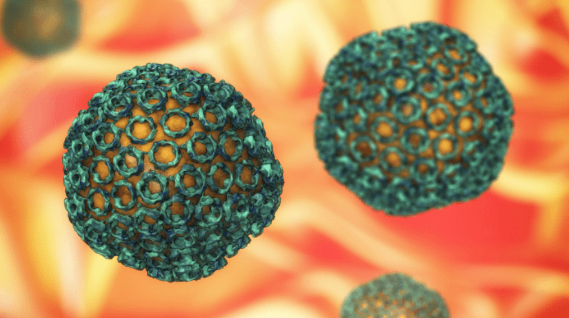 Death Toll From Rift Valley Fever Outbreak at 33 - The State Signal