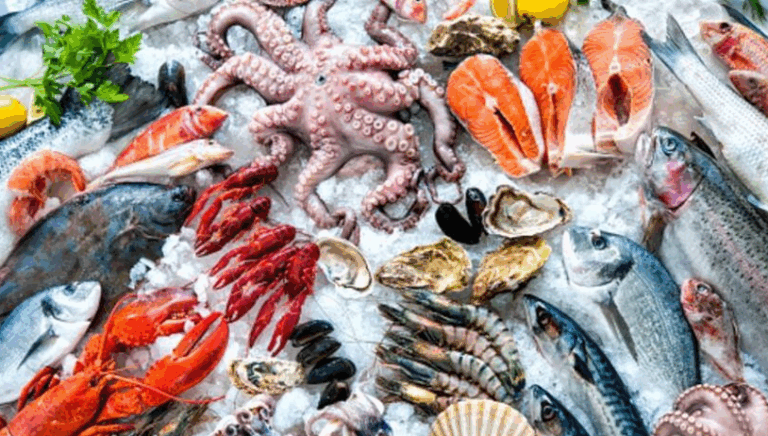 Japanese Seafood Exports to China Resume - The State Signal