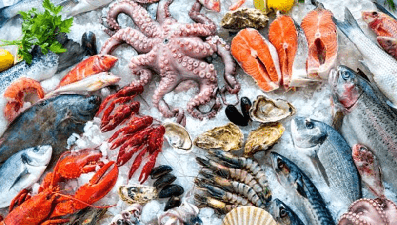 Japanese Seafood Exports to China Resume - The State Signal