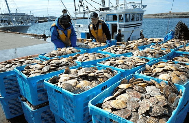 Japanese Seafood Imports to China Suspended After Diplomatic Rift - The State Signal