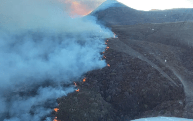 New Zealand Forest Fires Engulf Tongariro National Park - The State Signal