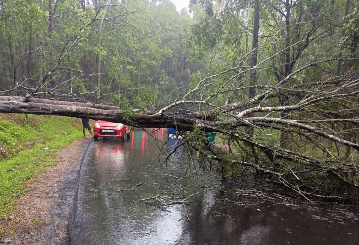 Death Toll in Sri Lanka from Floods and Landslides at 31 - The State Signal