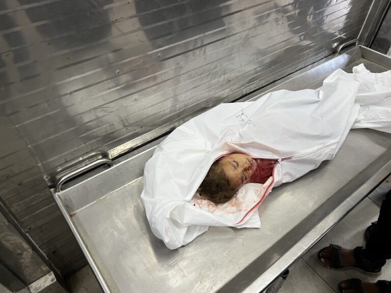 Israel Gaza War Latest: Israeli Army Shells Gaza Strip and More Updates - The State Signal