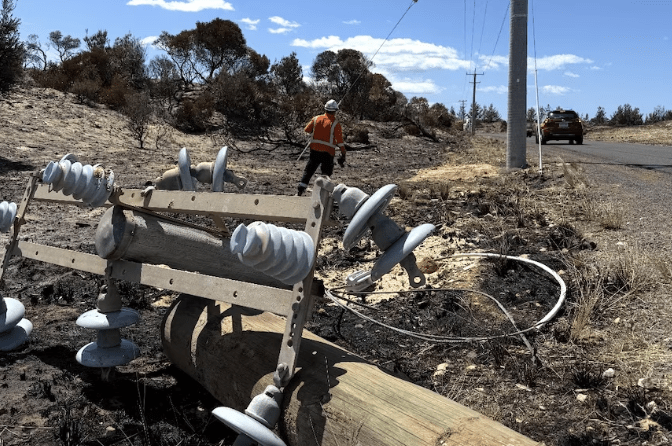 Multiple Bushfires in Australia Reach Emergency Levels - The State Signal