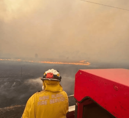 Current Australian Bushfires Destroy 300 Buildings, Kill 1 - The State Signal Current Australian Bushfires Destroy 300 Buildings, Kill 1 - The State Signal