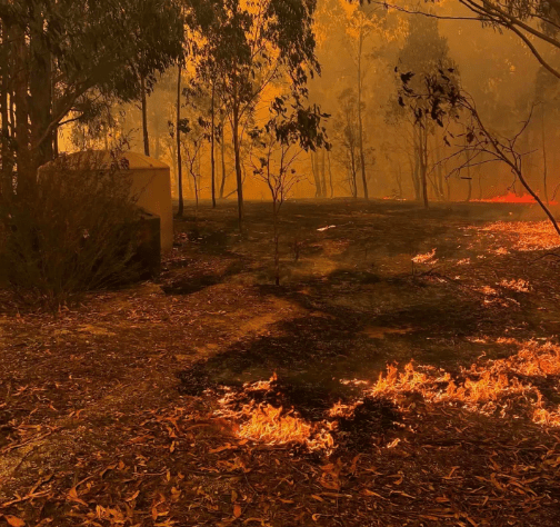 Current Australian Bushfires Destroy 300 Buildings, Kill 1 - The State Signal Current Australian Bushfires Destroy 300 Buildings, Kill 1 - The State Signal
