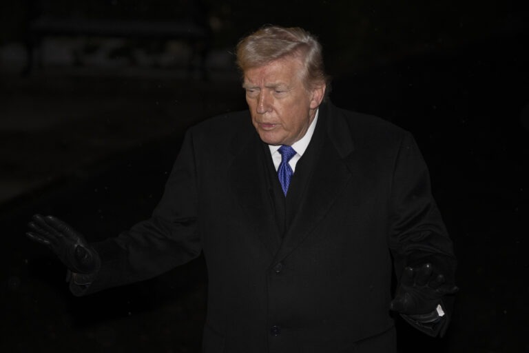 Trump Wants US Voters to Proof Citizenship - The State Signal