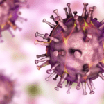 New Cases of African Swine Fever (ASF) in 2026 Reported in South Korea New Cases of African Swine Fever (ASF) in 2026 Reported in South Korea - The State Signal