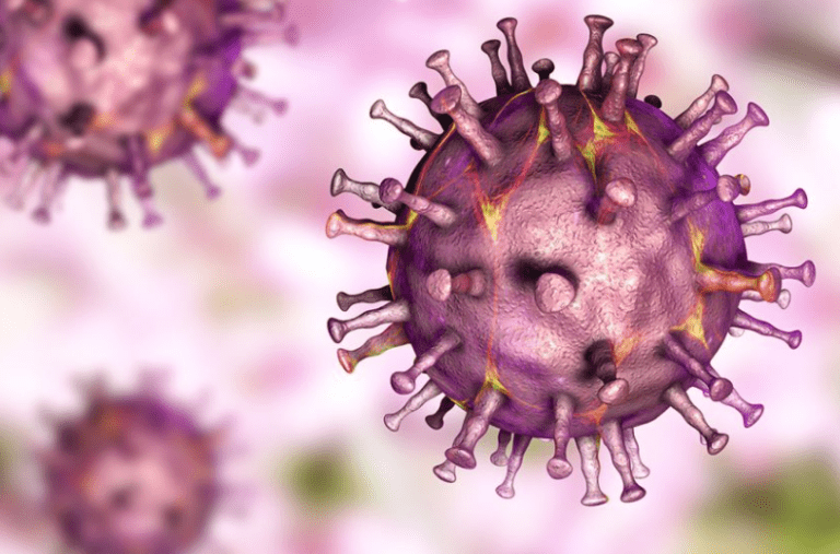 New Cases of African Swine Fever (ASF) in 2026 Reported in South Korea - The State Signal