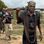 23 Al-Shabaab Terrorists Killed in Coordinated Operations in Somalia - The State Signal