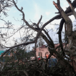 Death Toll From Cyclone Gezani in Madagascar Rises to 31 - The State Signal