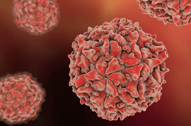 Polio Outbreak in Malawi Declared