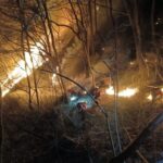 South Korea Fights Deadly Wildfires for 3rd Day South Korea Fights Deadly Wildfires for 3rd Day - The State Signal