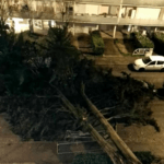 Storm Nils in France Kills 1 as Red Alert Issued Storm Nils in France Kills 1 as Red Alert Issued - The State Signal