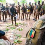 15 Benin Armed Forces Personnel Killed by Armed Men - The State Signal