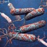 Cholera Outbreak in Zambia Kills 2 - The State Signal