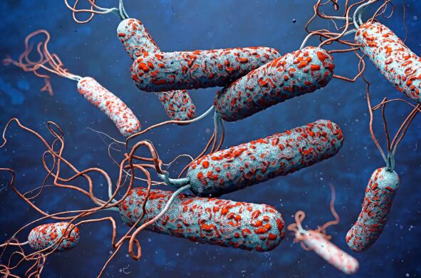 Cholera Outbreak in Zambia Kills 2 - The State Signal