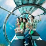 China Developing First Tourist Submersible for 1K Meters Under Sea Trips - The State Signal