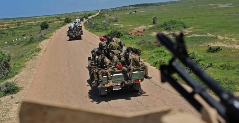 28 Al-Shabaab Terrorists Killed in Shabelle Regions - The State Signal