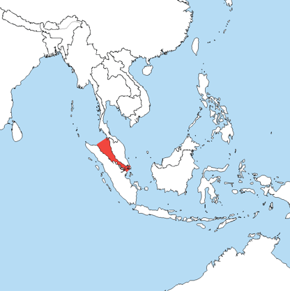 Indonesia Considering Introducing a Levy on Commercial Ships Passing Through Strait of Malacca - The State Signal
