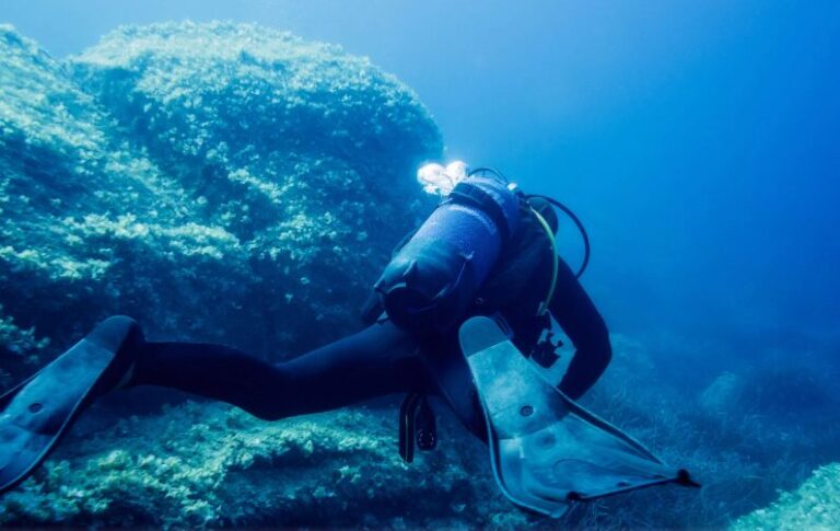 Diving Expedition in the Maldives Leave 5 Italians Dead - The State Signal