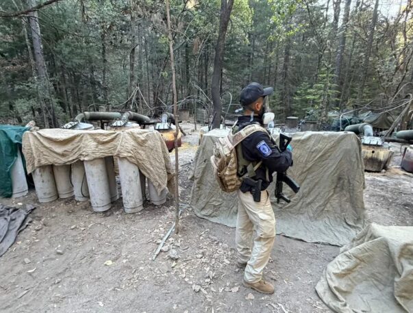 CIA Conducting Covert Operations Against Cartels in Mexico; Report - The State Signal