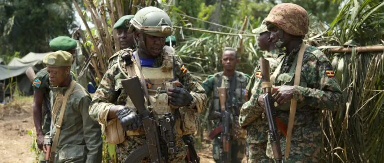 Attack by Allied Democratic Forces (ADF) Rebels in Ituri Province in DRC Kills at least 21 - The State Signal